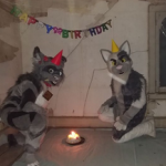 CURSED FURRIES picture