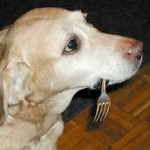 DogeFork picture