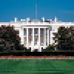 Honorary White House Cult picture