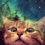 Warrior cat fan art picture