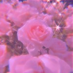 The chill squad picture