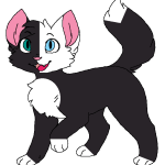 MoonClan/IvyClan/SoulClan Roleplay picture