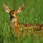 Random drawings picture