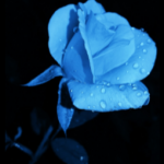 Steph321 YouTube Channel picture