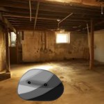 Everi's basement picture