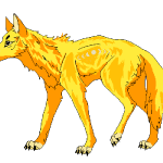 Wolf Club picture