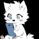 lumine fan club picture