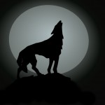 Wolf Pack X picture