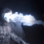 godzilla and monsters picture