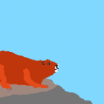 SAVE JERRY THE MARMOT picture