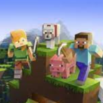 The Minecraft Girls picture