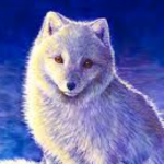 Ice wolfs picture
