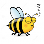 Bees Go Buzzzzz picture