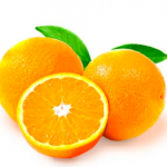 gucci citrus  picture