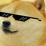 The Doge Memerz picture