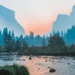 The Landscapers⛰ picture