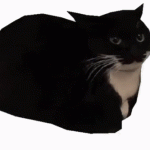 The cult of Maxwell picture