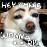 Roleplay group picture