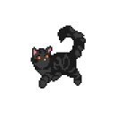 WARRIOR CATS!!! picture