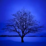 Every1 We1c0me! picture