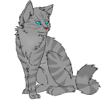 Rise of the Warrior Cats picture