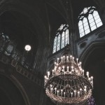 The vampire coven picture
