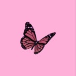 Lily’s art group picture