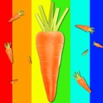 Carrot Conquest Developer Group picture