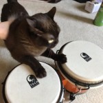 ᕦ( ◕ ᗜ ◕ )ᕥ picture