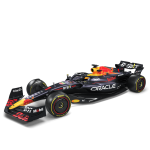 Formula 1 Fans picture