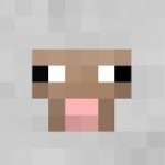 Official Sheep picture