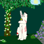 what the meow picture