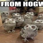 Harry Potter group✨?️‍? picture