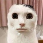 guh.. idk.. for cavetown and tadc f picture