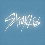 Stray kids picture