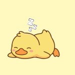 DUCK CULT picture
