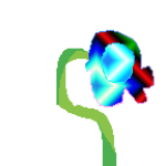 Blooming beams picture