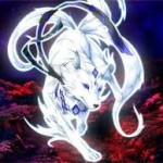 Shadow moon pack picture
