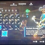 Botw True Fan Group picture