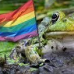 GAY PHROGGIS picture