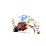 Cool Club official picture