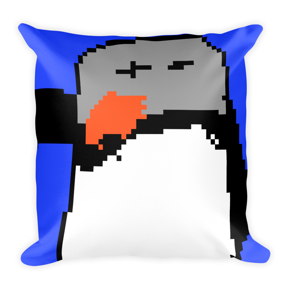 Square Pillow Case w/ stuffing