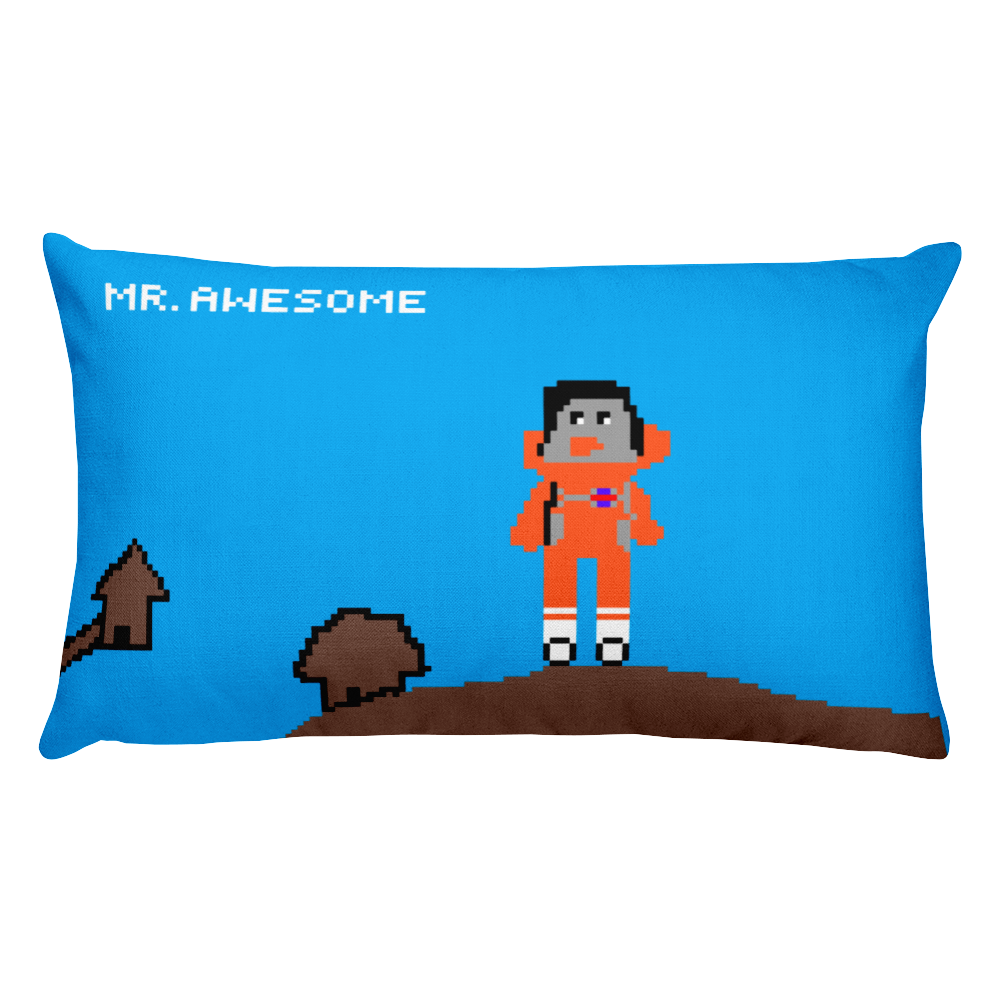 Rectangular Pillow Case w/ stuffing