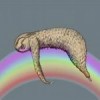 sloth-sophie