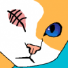 AceEverwoode