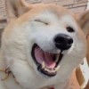 robloxoof