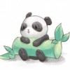 Pandacorn150