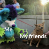 Sproinkles