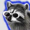 Raccoon-Eggs14