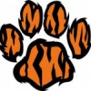 awesometiger5